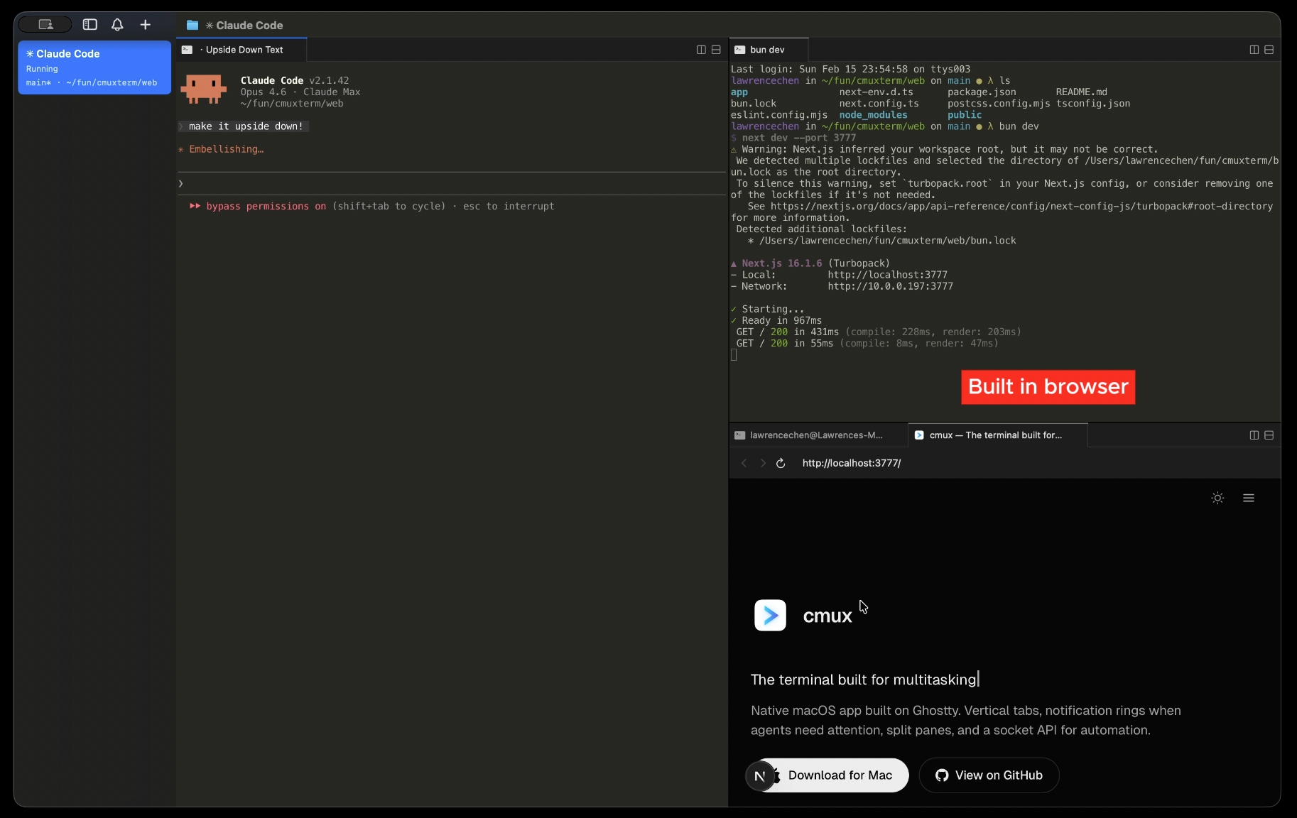 cmux browser screenshot